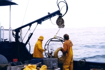 MARCO J0109 15 inch Pot hauler / Crab Block