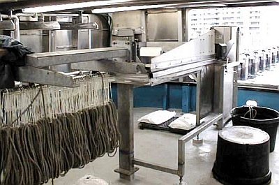 Marco Automatic Circlehook Baiting Machine 